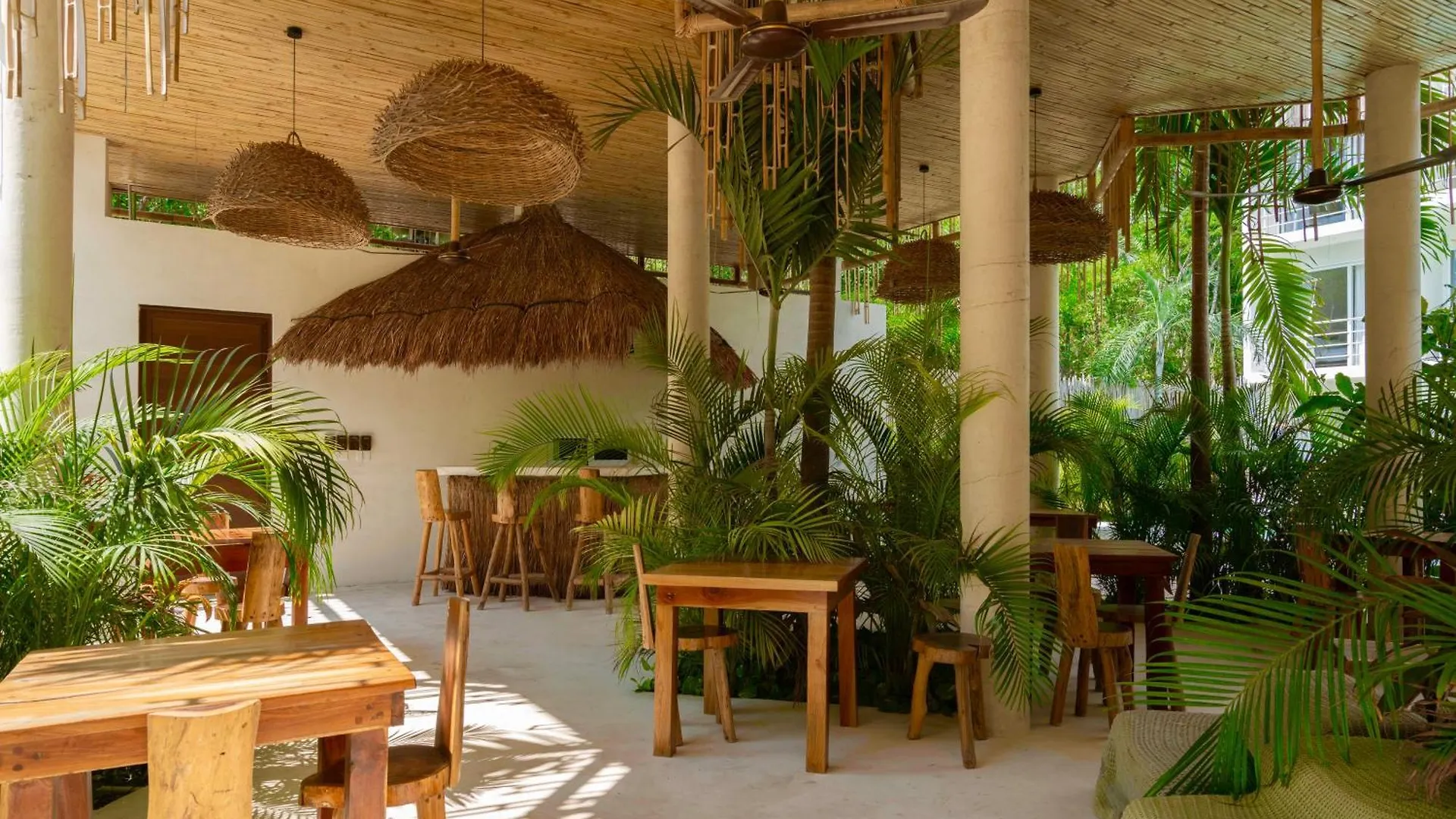 Beautiful Swim-Up Studio With Private Terrace, Pool And Jungle Gym contacts